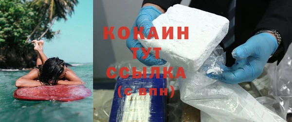 спиды Ельня