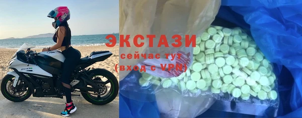 спиды Ельня