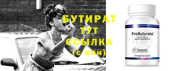 спиды Ельня