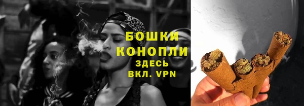 ешки Елабуга