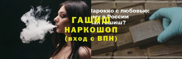 спиды Ельня
