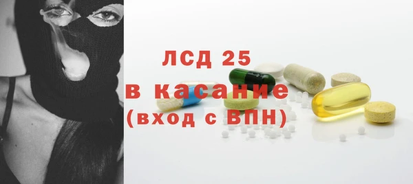 спиды Ельня