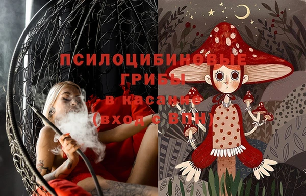 ешки Елабуга