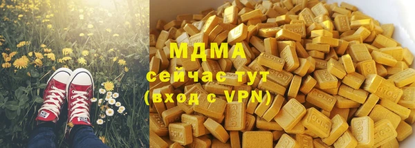 спиды Ельня