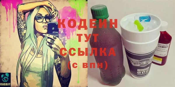 спиды Ельня