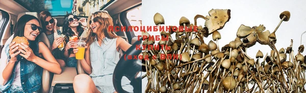 ешки Елабуга