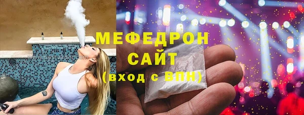 спиды Ельня