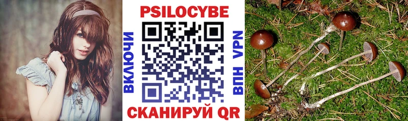 Галлюциногенные грибы Psilocybe  Купить где  Мытищи 